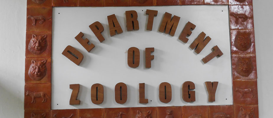 Department Banner Image