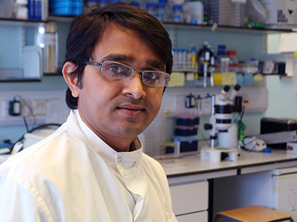 Md Firoz Ahmed (PhD, Cambridge, UK)